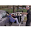 Bestcare Car Transfer Mobile Floor Lift PL350CT