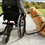 SMOOVE one 010 wheelchair Power Assist SMOOVE one 010 wheelchair Power Assist