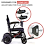 CITY 2 PLUS Power Chair CITY 2 PLUS Power Chair