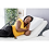 Golden Passport Bed Golden Passport Bed