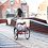 EcoRide Adult Tricycle Electric Bike EcoRide Adult Tricycle Electric Bike
