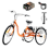 EcoRide Adult Tricycle Electric Bike EcoRide Adult Tricycle Electric Bike