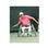 Match Point Sports Wheechair from Sunrise Medical Match Point Sports Wheechair from Sunrise Medical