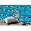 PAL2 Portable Aquatic Lift PAL2 Portable Aquatic Lift