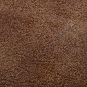 Acorn