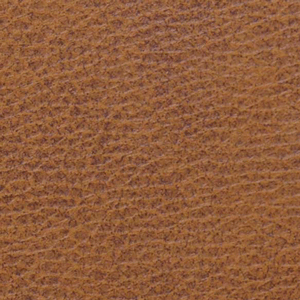 Click to see a larger image of this fabric Sparrow- Medium Brown