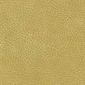 Click to see a larger image of this fabric Buckskin