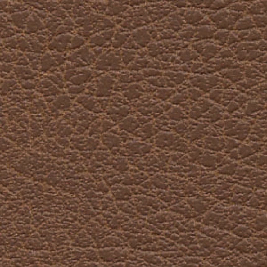 Click to see a larger image of this fabric Bridle