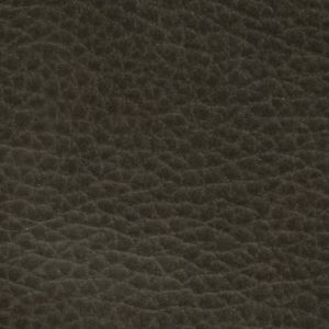 Click to see a larger image of this fabric Smoke