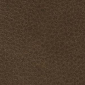 Click to see a larger image of this fabric Cappuccino