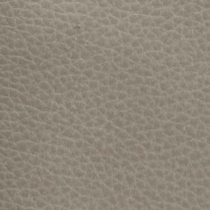 Click to see a larger image of this fabric Dove
