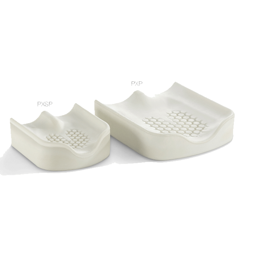 The PXP and PXSP The PXP and PXSP